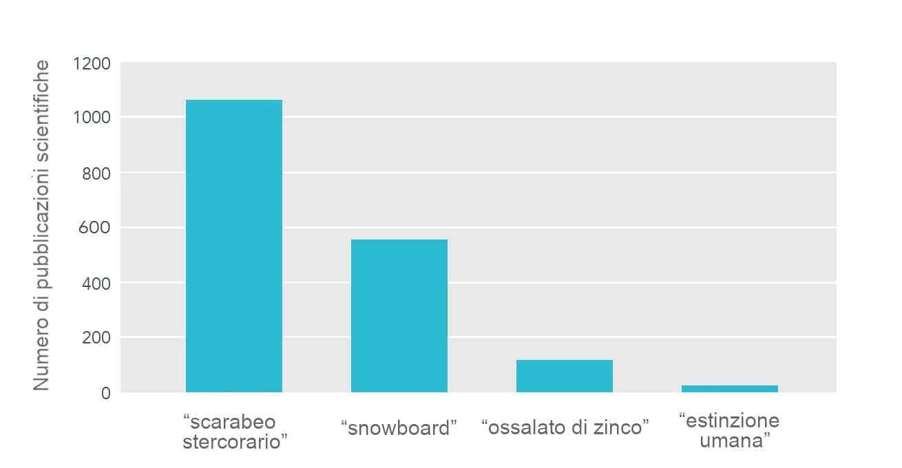 L'immagine mostra un grafico a barre che confronta il numero di pubblicazioni scientifiche relative a quattro diversi argomenti: “scarabeo stercorario”, “snowboard”, “ossalato di zinco” ed “estinzione umana”. Il numero più elevato di pubblicazioni scientifiche è dedicato allo “scarabeo stercorario”, seguito dallo “snowboard”, dall'“ossalato di zinco” e infine dall'“estinzione umana”, che registra il numero più basso.