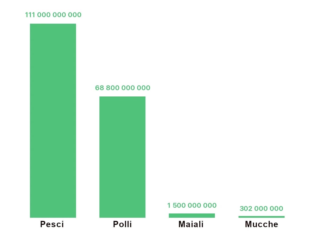 L'immagine mostra un grafico a barre con quattro categorie: Pesci, Polli, Maiali e Mucche, che indicano i rispettivi importi che vanno da 111 miliardi per i pesci a 302 milioni per le mucche.