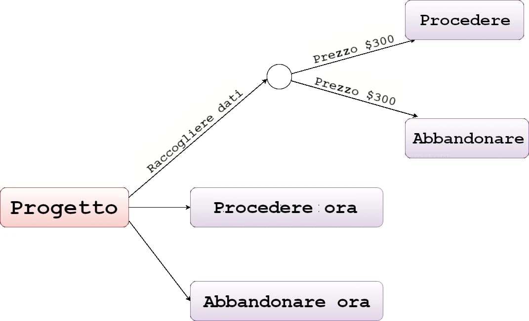 L'immagine mostra un diagramma decisionale in cui un “Progetto” ha tre opzioni: “Procedere ora”, “Abbandonare ora” e “Raccogliere dati” con sotto-opzioni.